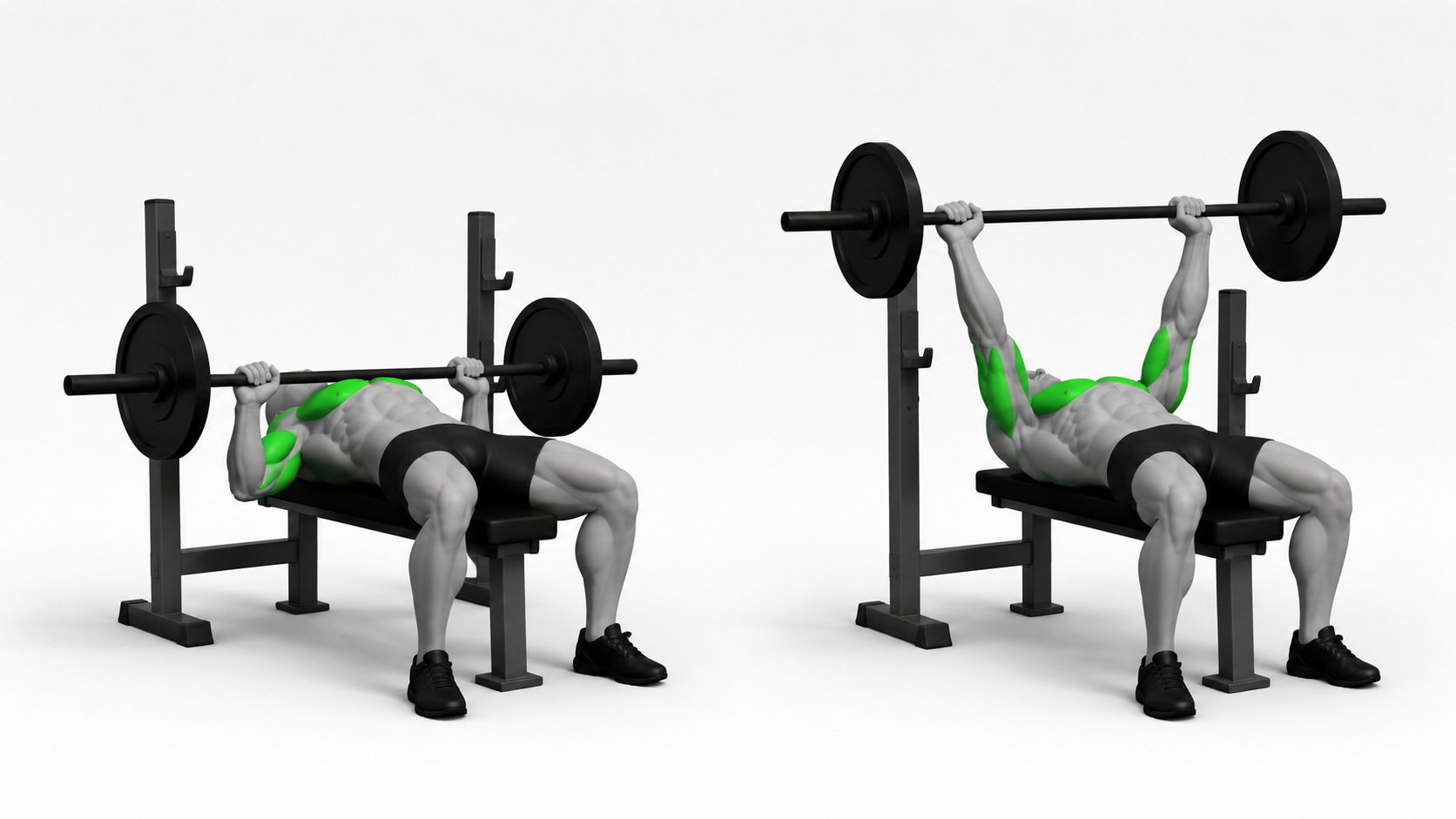 barbell bench press exercise showing bottom and start position